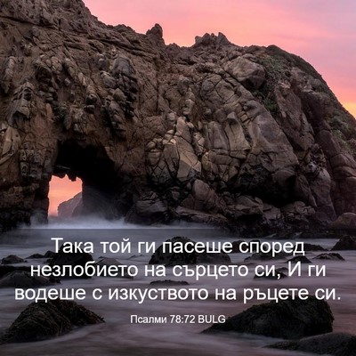 Picture 03 - Псалми 78:72 BULG - Така той ги пасеше според - Bible Verse Picture