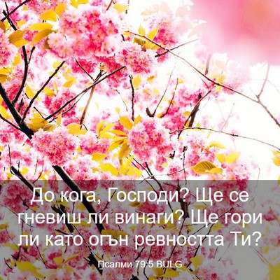 Picture 03 - Псалми 79:5 BULG - До кога, Господи? Ще се - Bible Verse Picture