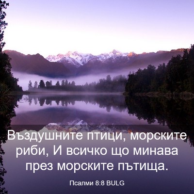 Picture 03 - Псалми 8:8 BULG - Въздушните птици, морските - Bible Verse Picture
