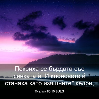 Picture 03 - Псалми 80:10 BULG - Покриха се бърдата със - Bible Verse Picture