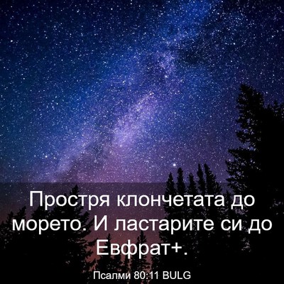 Picture 03 - Псалми 80:11 BULG - Простря клончетата до - Bible Verse Picture