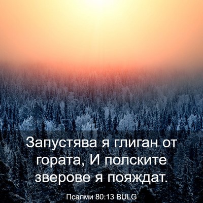Picture 03 - Псалми 80:13 BULG - Запустява я глиган от - Bible Verse Picture