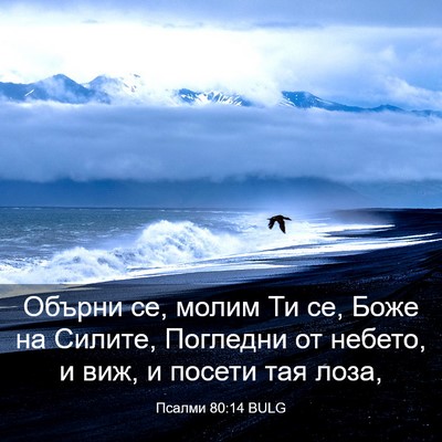 Picture 03 - Псалми 80:14 BULG - Обърни се, молим Ти се, Боже - Bible Verse Picture