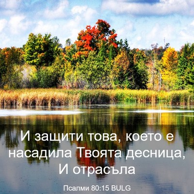 Picture 03 - Псалми 80:15 BULG - И защити това, което е - Bible Verse Picture