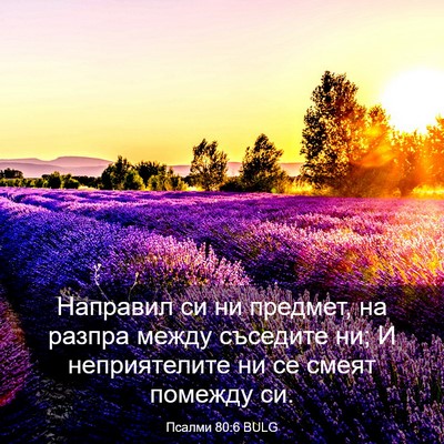 Picture 03 - Псалми 80:6 BULG - Направил си ни предмет, на - Bible Verse Picture