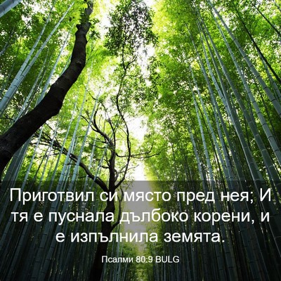 Picture 03 - Псалми 80:9 BULG - Приготвил си място пред - Bible Verse Picture