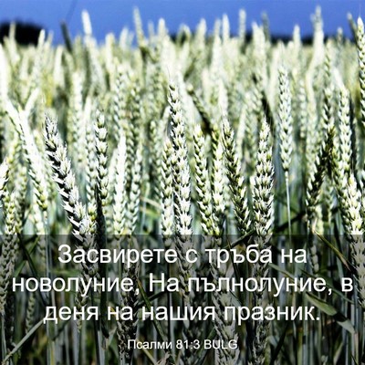 Picture 03 - Псалми 81:3 BULG - Засвирете с тръба на - Bible Verse Picture
