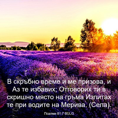 Picture 03 - Псалми 81:7 BULG - В скръбно време и ме - Bible Verse Picture