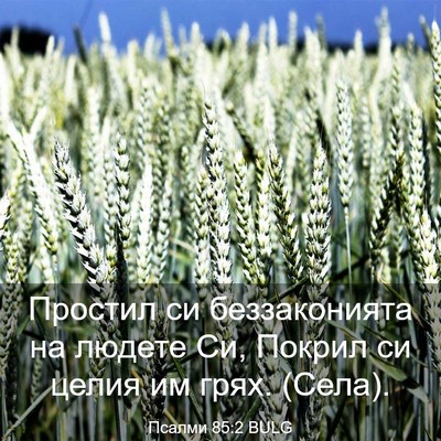 Picture 03 - Псалми 85:2 BULG - Простил си беззаконията на - Bible Verse Picture