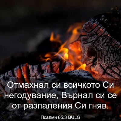 Picture 03 - Псалми 85:3 BULG - Отмахнал си всичкото Си - Bible Verse Picture