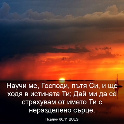 Picture 03 - Псалми 86:11 BULG - Научи ме, Господи, пътя Си, - Bible Verse Picture