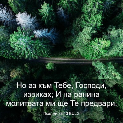 Picture 03 - Псалми 88:13 BULG - Но аз към Тебе, Господи, - Bible Verse Picture