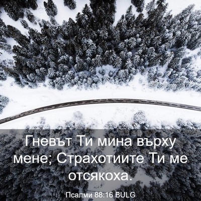 Picture 03 - Псалми 88:16 BULG - Гневът Ти мина върху мене; - Bible Verse Picture