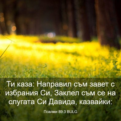 Picture 03 - Псалми 89:3 BULG - Ти каза: Направил съм завет - Bible Verse Picture