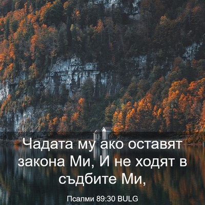 Picture 03 - Псалми 89:30 BULG - Чадата му ако оставят - Bible Verse Picture