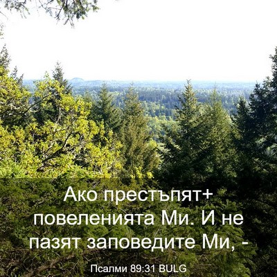 Picture 03 - Псалми 89:31 BULG - Ако престъпят+ повеленията - Bible Verse Picture