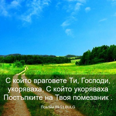 Picture 03 - Псалми 89:51 BULG - С който враговете Ти, - Bible Verse Picture