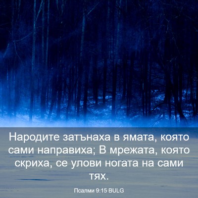 Picture 03 - Псалми 9:15 BULG - Народите затънаха в ямата, - Bible Verse Picture