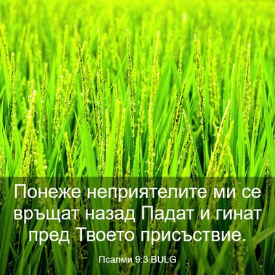 Picture 03 - Псалми 9:3 BULG - Понеже неприятелите ми се - Bible Verse Picture