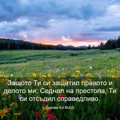 Picture 03 - Псалми 9:4 BULG - Защото Ти си защитил - Bible Verse Picture