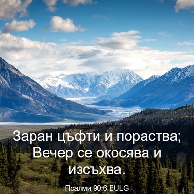 Picture 03 - Псалми 90:6 BULG - Заран цъфти и пораства; - Bible Verse Picture
