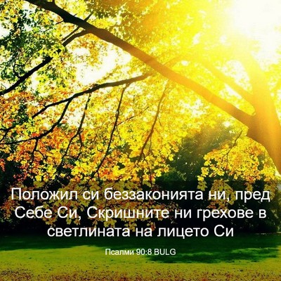 Picture 03 - Псалми 90:8 BULG - Положил си беззаконията - Bible Verse Picture