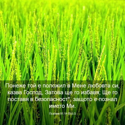 Picture 03 - Псалми 91:14 BULG - Понеже той е положил в Мене - Bible Verse Picture