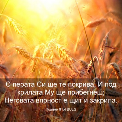 Picture 03 - Псалми 91:4 BULG - С перата Си ще те покрива; И - Bible Verse Picture