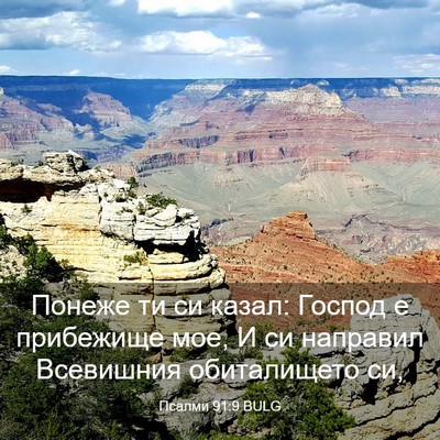 Picture 03 - Псалми 91:9 BULG - Понеже ти си казал: Господ - Bible Verse Picture
