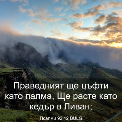 Picture 03 - Псалми 92:12 BULG - Праведният ще цъфти като - Bible Verse Picture