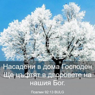Picture 03 - Псалми 92:13 BULG - Насадени в дома Господен - Bible Verse Picture