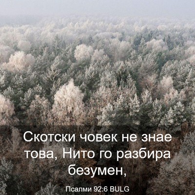 Picture 03 - Псалми 92:6 BULG - Скотски човек не знае това, - Bible Verse Picture