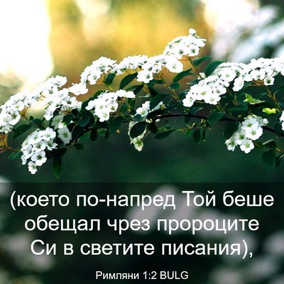 Picture 03 - Римляни 1:2 BULG - (което по-напред Той беше - Bible Verse Picture