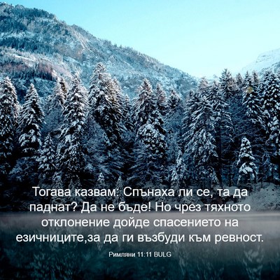 Picture 03 - Римляни 11:11 BULG - Тогава казвам: Спънаха ли - Bible Verse Picture