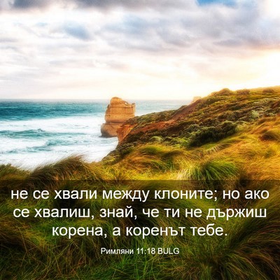 Picture 03 - Римляни 11:18 BULG - не се хвали между клоните; - Bible Verse Picture