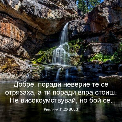 Picture 03 - Римляни 11:20 BULG - Добре, поради неверие те се - Bible Verse Picture
