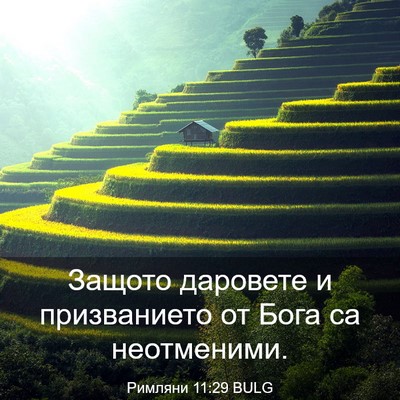 Picture 03 - Римляни 11:29 BULG - Защото даровете и - Bible Verse Picture