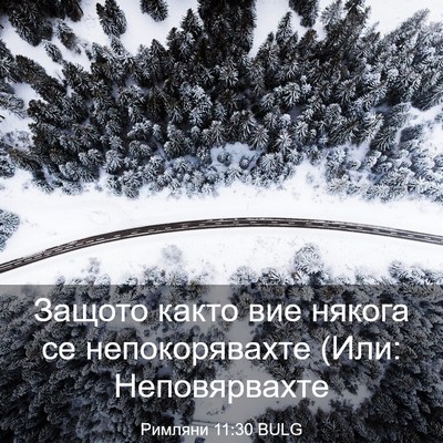 Picture 03 - Римляни 11:30 BULG - Защото както вие някога се - Bible Verse Picture