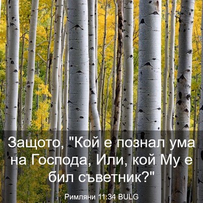 Picture 03 - Римляни 11:34 BULG - Защото, 
