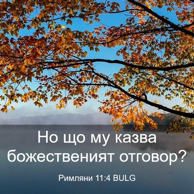 Picture 03 - Римляни 11:4 BULG - Но що му казва - Bible Verse Picture