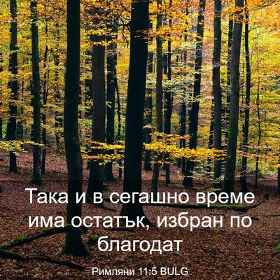 Picture 03 - Римляни 11:5 BULG - Така и в сегашно време има - Bible Verse Picture