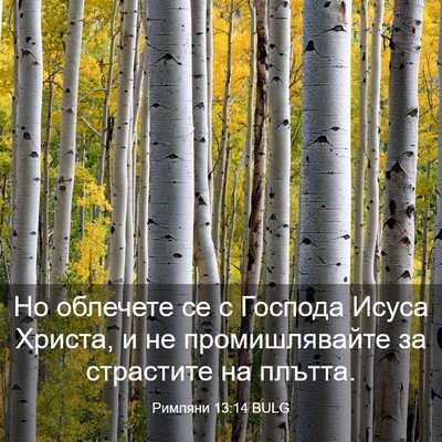 Picture 03 - Римляни 13:14 BULG - Но облечете се с Господа - Bible Verse Picture