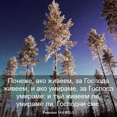 Picture 03 - Римляни 14:8 BULG - Понеже, ако живеем, за - Bible Verse Picture