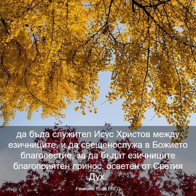Picture 03 - Римляни 15:16 BULG - да бъда служител Исус - Bible Verse Picture