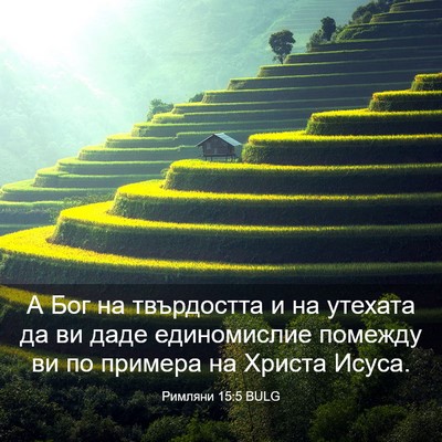 Picture 03 - Римляни 15:5 BULG - А Бог на твърдостта и на - Bible Verse Picture