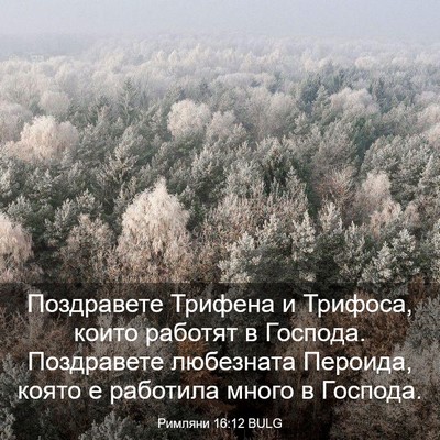 Picture 03 - Римляни 16:12 BULG - Поздравете Трифена и - Bible Verse Picture