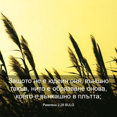 Picture 03 - Римляни 2:28 BULG - Защото не е юдеин оня, - Bible Verse Picture