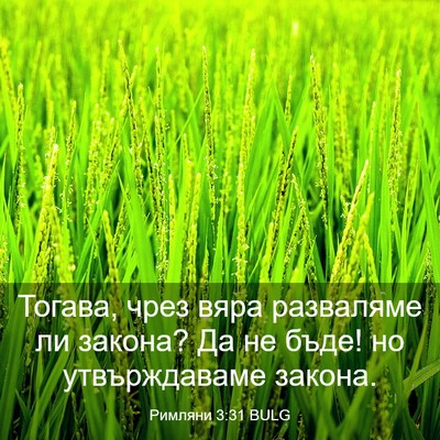 Picture 03 - Римляни 3:31 BULG - Тогава, чрез вяра - Bible Verse Picture