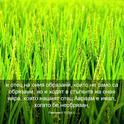 Picture 03 - Римляни 4:12 BULG - и отец на ония обрязани, - Bible Verse Picture