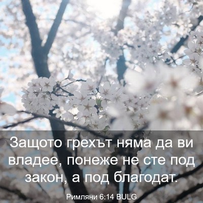 Picture 03 - Римляни 6:14 BULG - Защото грехът няма да ви - Bible Verse Picture